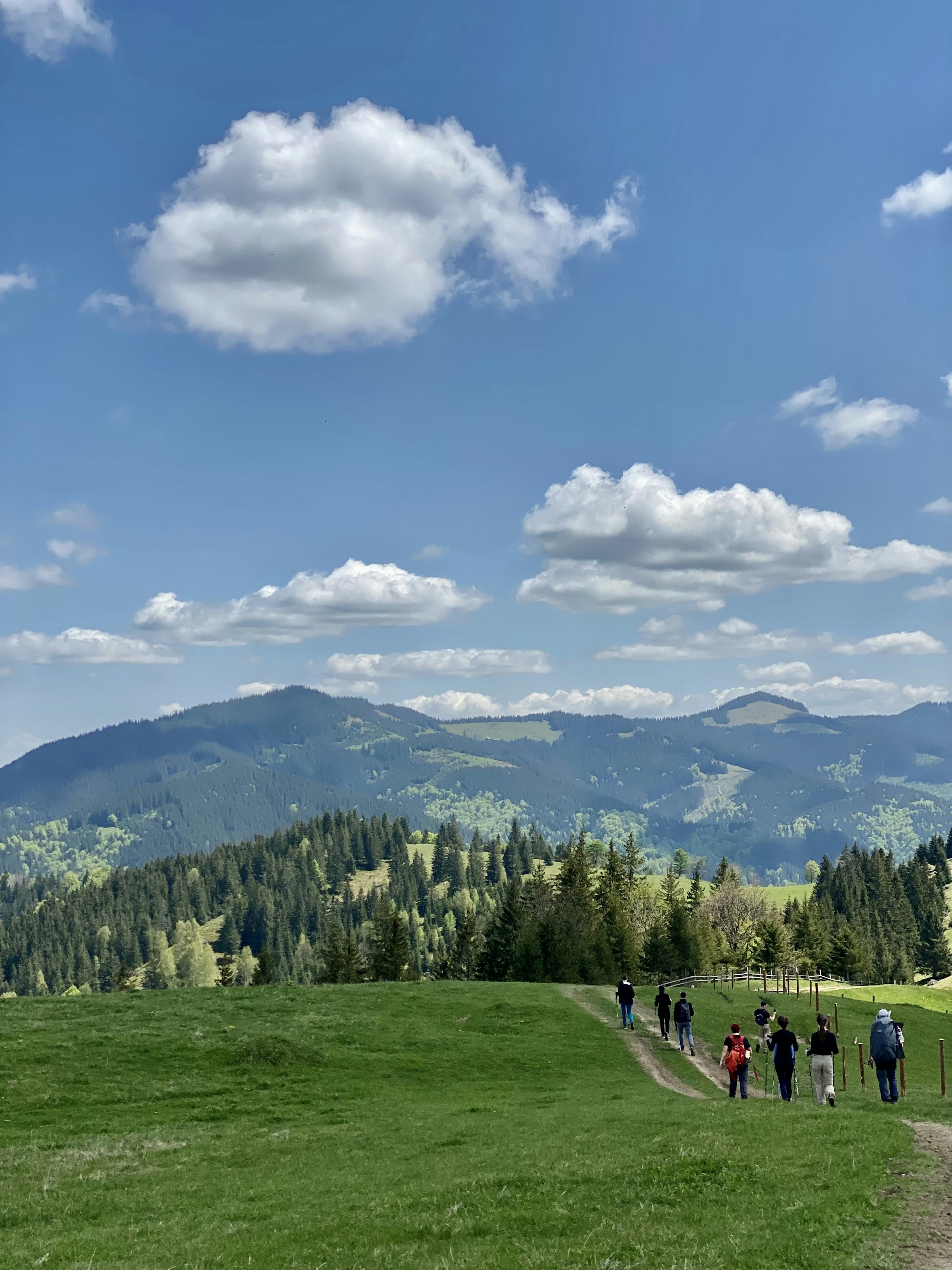 A group of hikers crossing a dirt trail through green mountain meadows